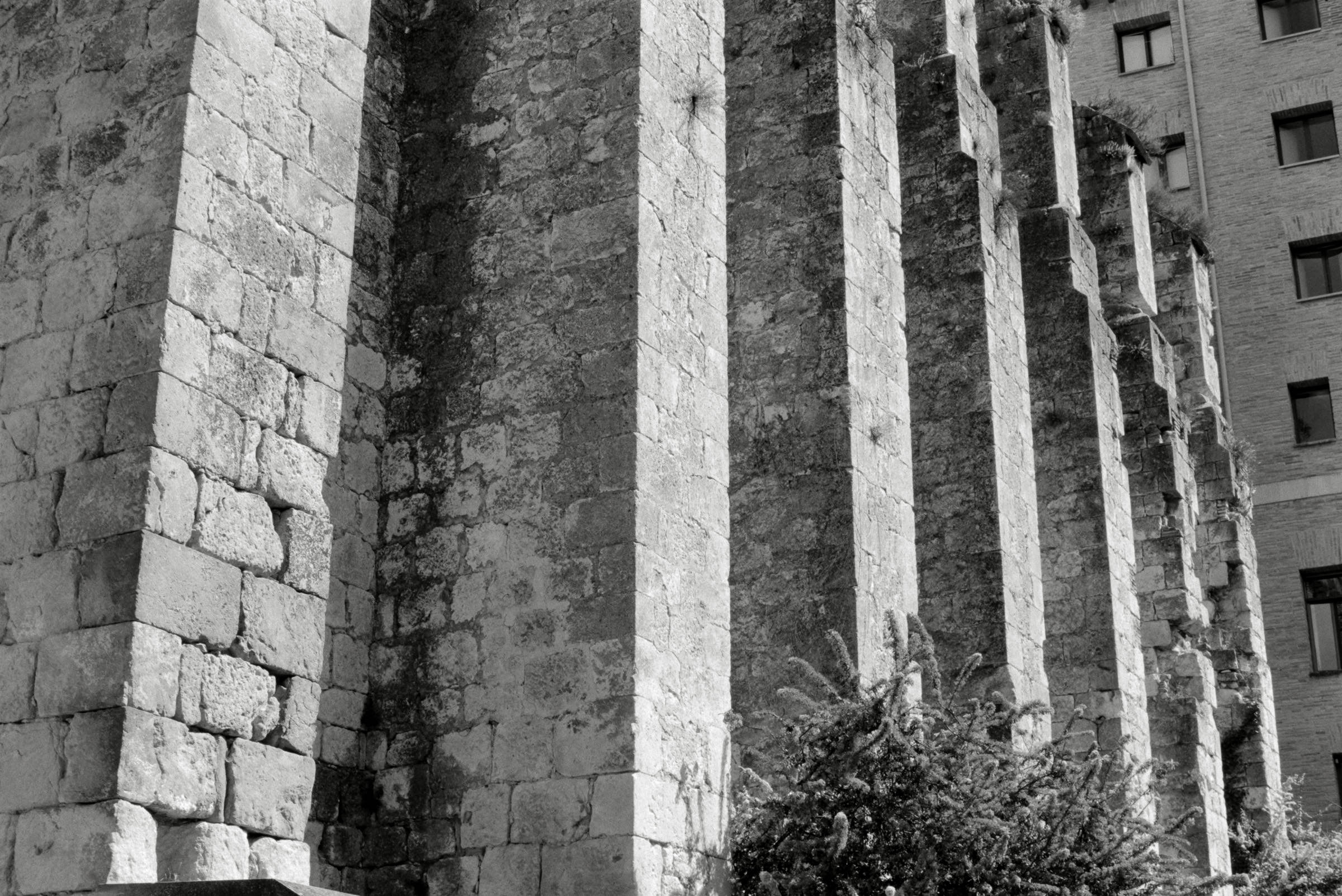 AHP F1995 05 007 sc240826 img04 NLP